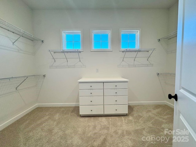 walk in closet with light carpet