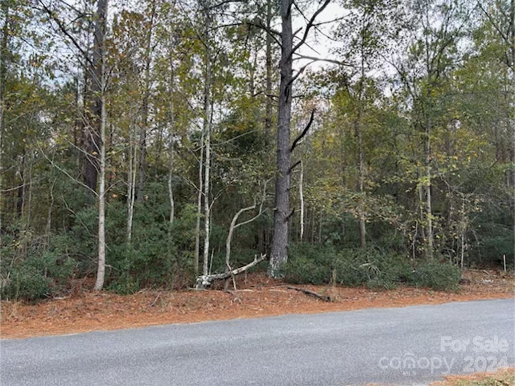 LOT6 Hudson Rd, Summerton, SC 29148