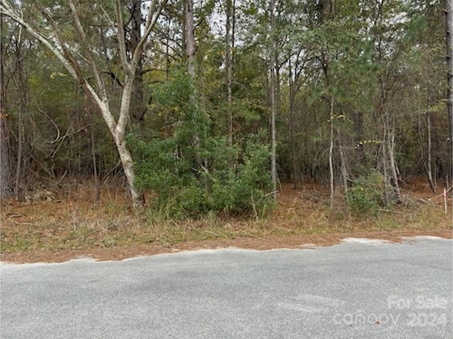 LOT8 Hudson Rd, Summerton, SC 29148