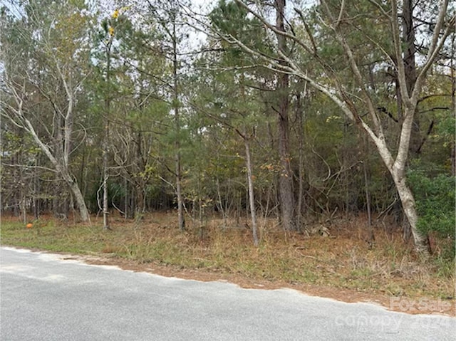 Listing photo 3 for LOT8 Hudson Rd, Summerton SC 29148