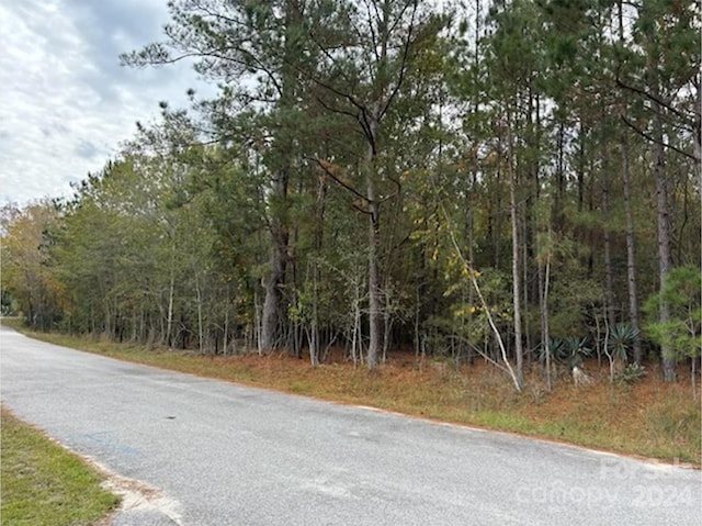 Listing photo 2 for LOT9 Hudson Rd, Summerton SC 29148