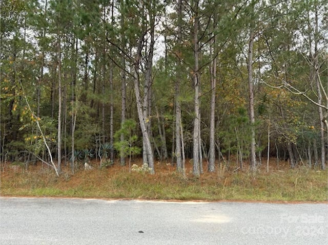 LOT9 Hudson Rd, Summerton, SC 29148