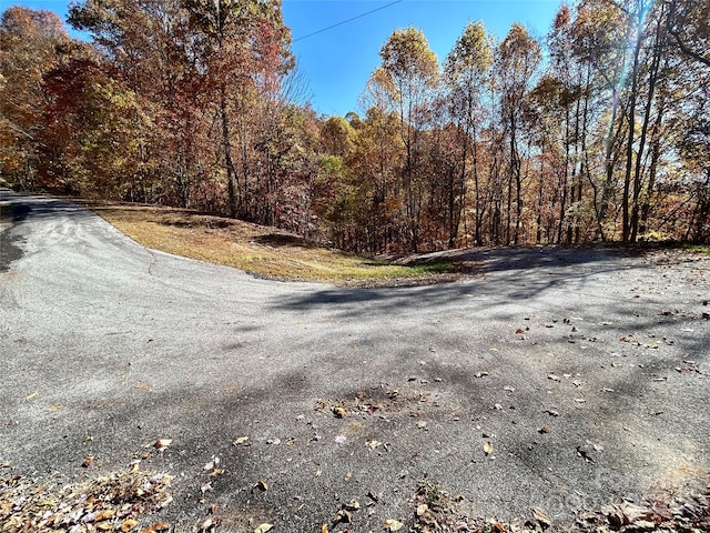 Listing photo 2 for 0 Grizzly Rdg Unit 57, Bryson City NC 28713