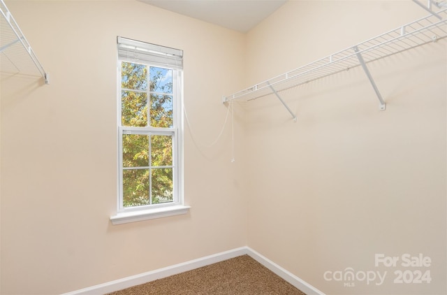 spacious closet with carpet floors