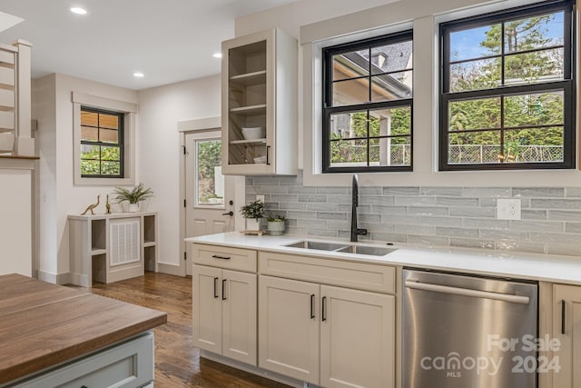 kitchen featuring dark hardwood / wood-style floors, stainless steel dishwasher, a healthy amount of sunlight, and sink