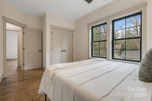 bedroom featuring dark hardwood / wood-style flooring and ceiling fan