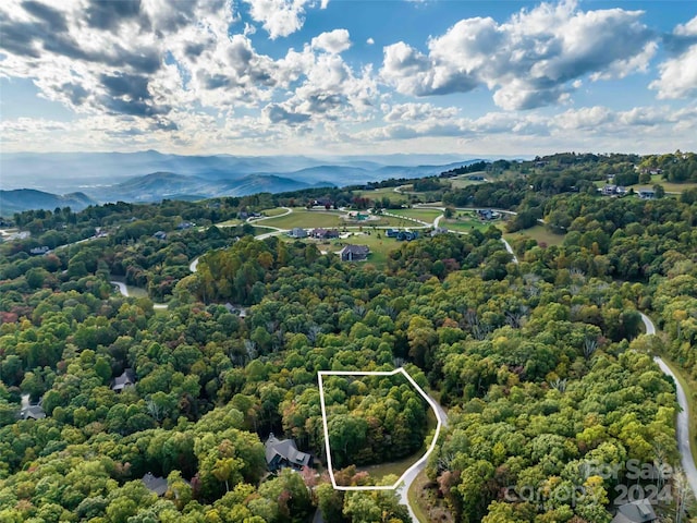 576 Autumn Sky Dr Unit 45, Hendersonville NC, 28792 land for sale