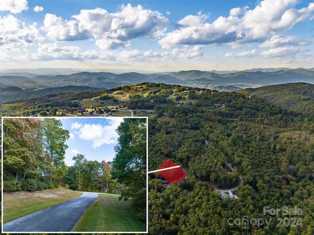 Listing photo 2 for 576 Autumn Sky Dr Unit 45, Hendersonville NC 28792