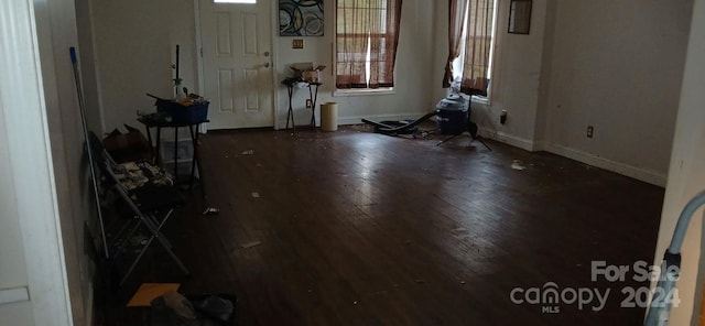 entryway with dark hardwood / wood-style floors