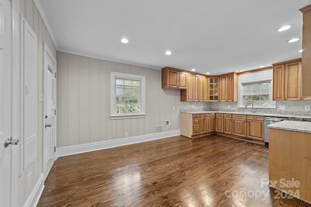 kitchen featuring light stone countertops, decorative backsplash, dark wood-type flooring, and sink