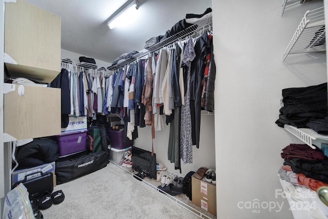 spacious closet with carpet flooring