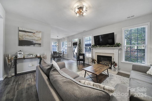 living room featuring hardwood / wood-style floors and a wealth of natural light