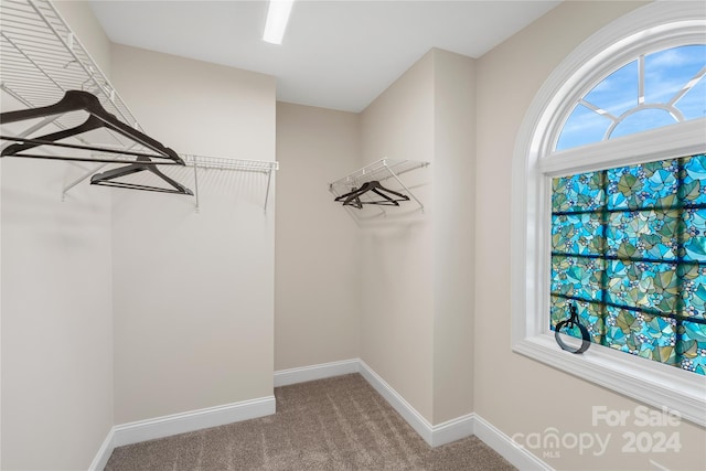 spacious closet featuring carpet