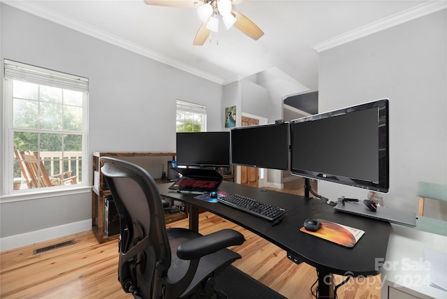 office featuring ceiling fan, crown molding, and light hardwood / wood-style floors