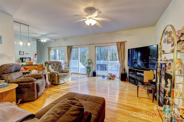 living room with ceiling fan and light hardwood / wood-style flooring