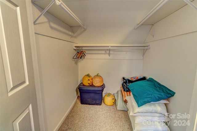 spacious closet with carpet