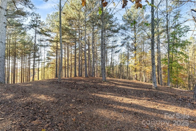 119 Wood Cove Ln, Stony Point, NC 28678