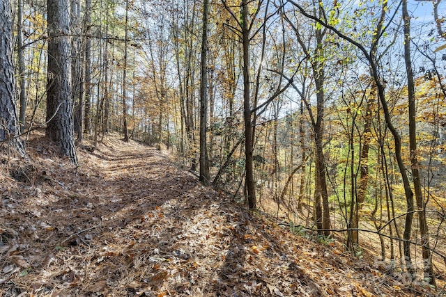 119 Wood Cove Ln, Stony Point, NC 28678