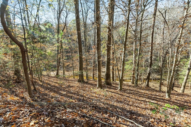 119 Wood Cove Ln, Stony Point, NC 28678