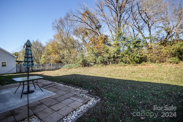 view of yard featuring a patio area