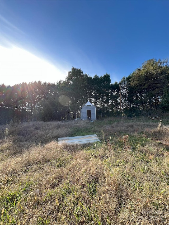 view of yard with a storage shed