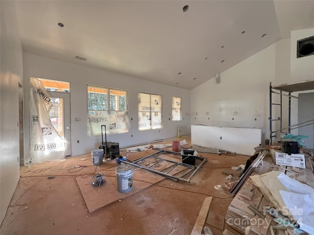 miscellaneous room featuring lofted ceiling