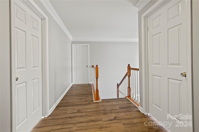 corridor featuring dark hardwood / wood-style floors and ornamental molding