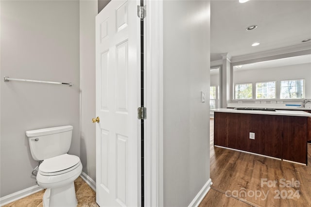 bathroom with wood-type flooring, vanity, and toilet