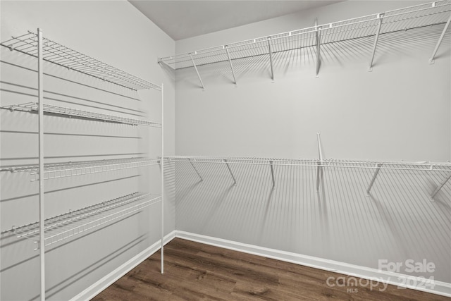 spacious closet with dark wood-type flooring