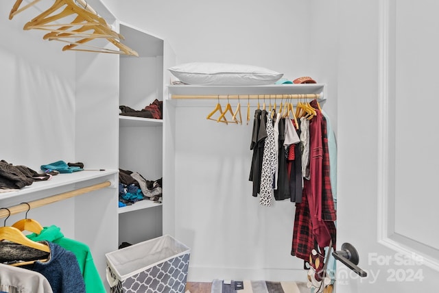 view of spacious closet