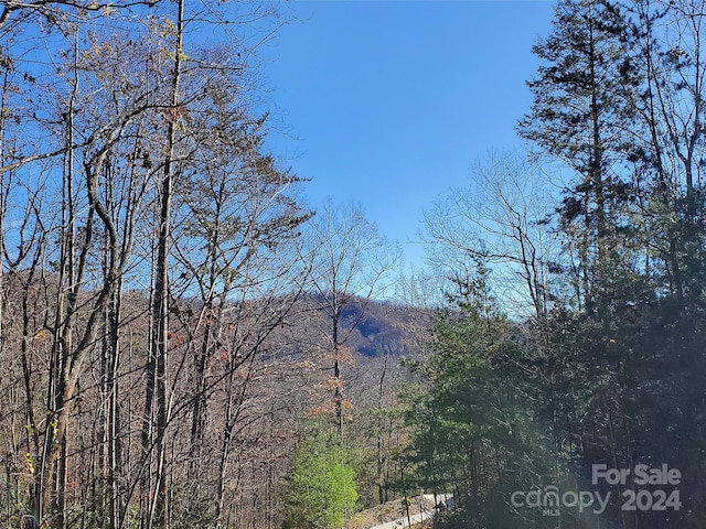 336 Falling Leaves Ln Unit 41, Hendersonville NC, 28792 land for sale