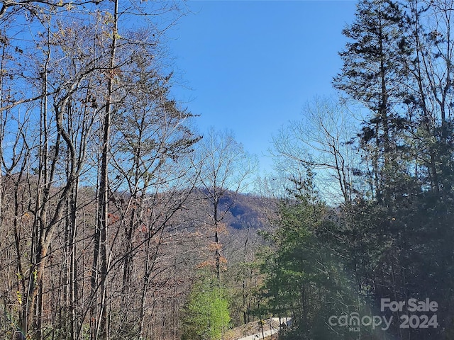 336 Falling Leaves Ln Unit 41, Hendersonville, NC 28792 - photo 1