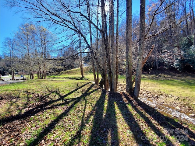 336 Falling Leaves Ln Unit 41, Hendersonville, NC 28792 - photo 4