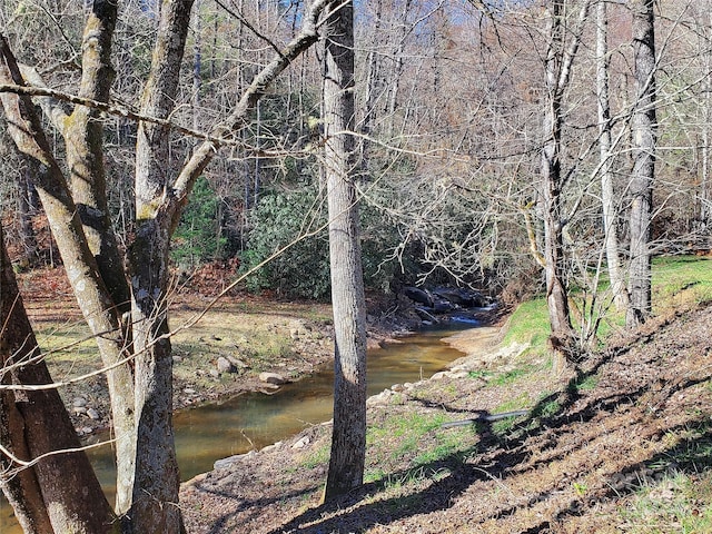 336 Falling Leaves Ln Unit 41, Hendersonville, NC 28792 - photo 5