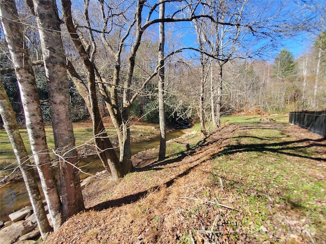 336 Falling Leaves Ln Unit 41, Hendersonville, NC 28792 - photo 6