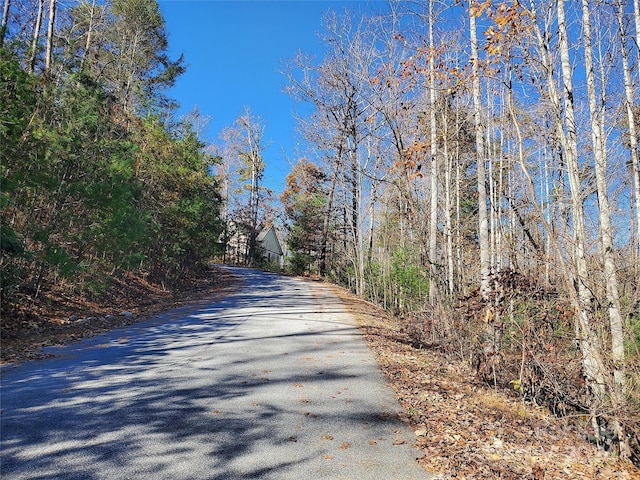 336 Falling Leaves Ln Unit 41, Hendersonville, NC 28792 - photo 7