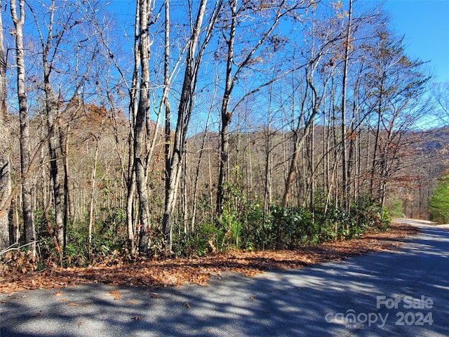 336 Falling Leaves Ln Unit 41, Hendersonville, NC 28792 - photo 8