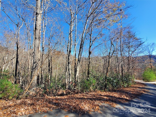 336 Falling Leaves Ln Unit 41, Hendersonville, NC 28792 - photo 9