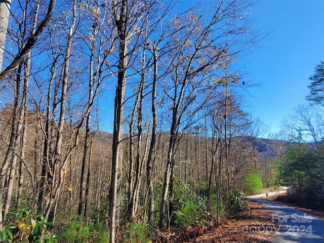 336 Falling Leaves Ln Unit 41, Hendersonville, NC 28792 - photo 10