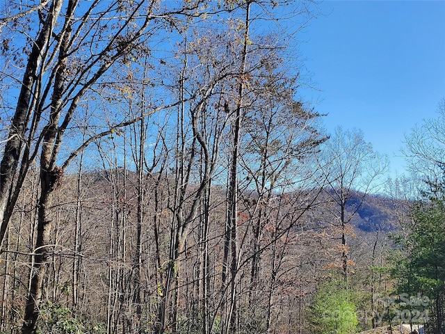 336 Falling Leaves Ln Unit 41, Hendersonville, NC 28792 - photo 11