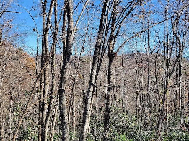 336 Falling Leaves Ln Unit 41, Hendersonville, NC 28792 - photo 12