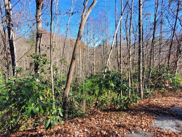 336 Falling Leaves Ln Unit 41, Hendersonville, NC 28792 - photo 13