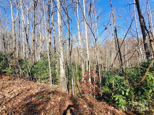 336 Falling Leaves Ln Unit 41, Hendersonville, NC 28792 - photo 14