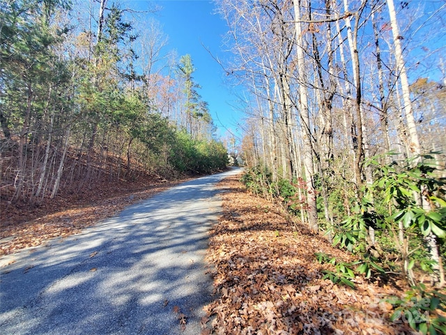 336 Falling Leaves Ln Unit 41, Hendersonville, NC 28792 - photo 15