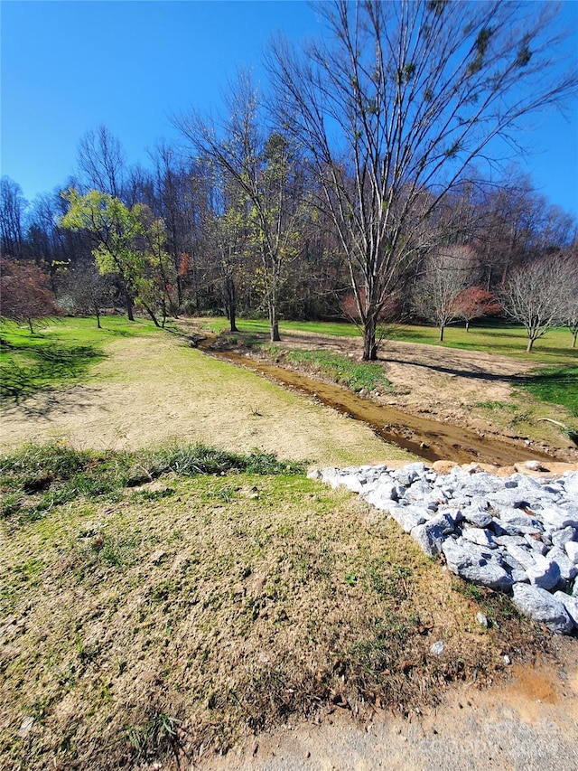336 Falling Leaves Ln Unit 41, Hendersonville, NC 28792 - photo 18