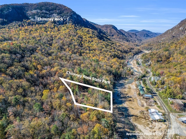 00 Chimney Cliffs Drive 04 & 05, Lake Lure NC, 28746 land for sale