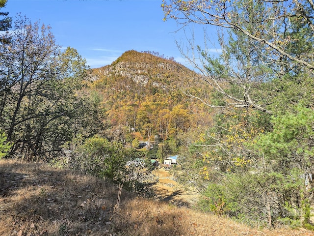 Listing photo 2 for 00 Chimney Cliffs Drive 04 & 05, Lake Lure NC 28746