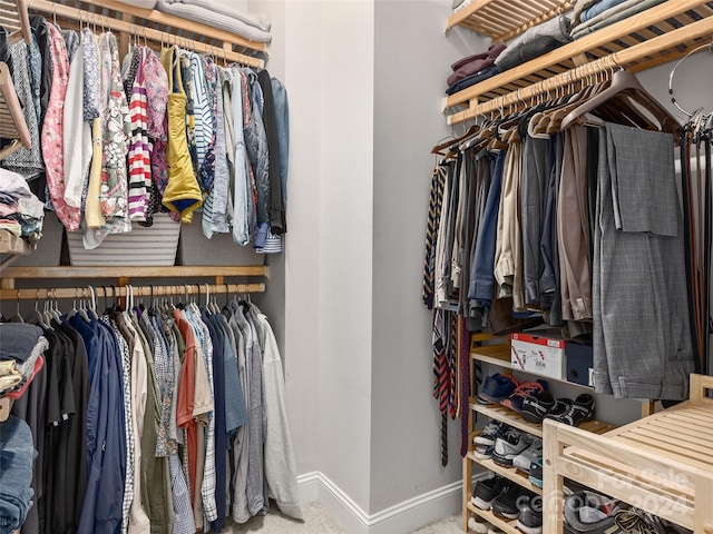 spacious closet featuring carpet