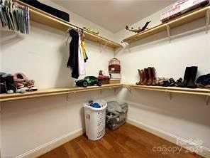 spacious closet with dark hardwood / wood-style flooring