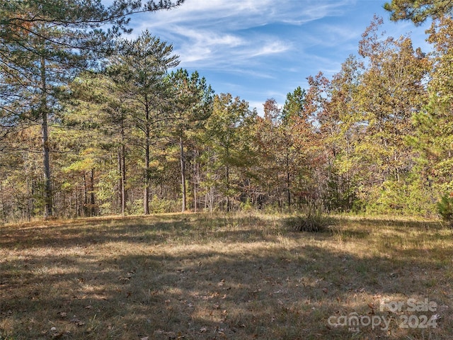 00 River Park Ln Unit 27, Mill Spring, NC 28756 - photo 2